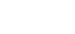 MEDIA NATION